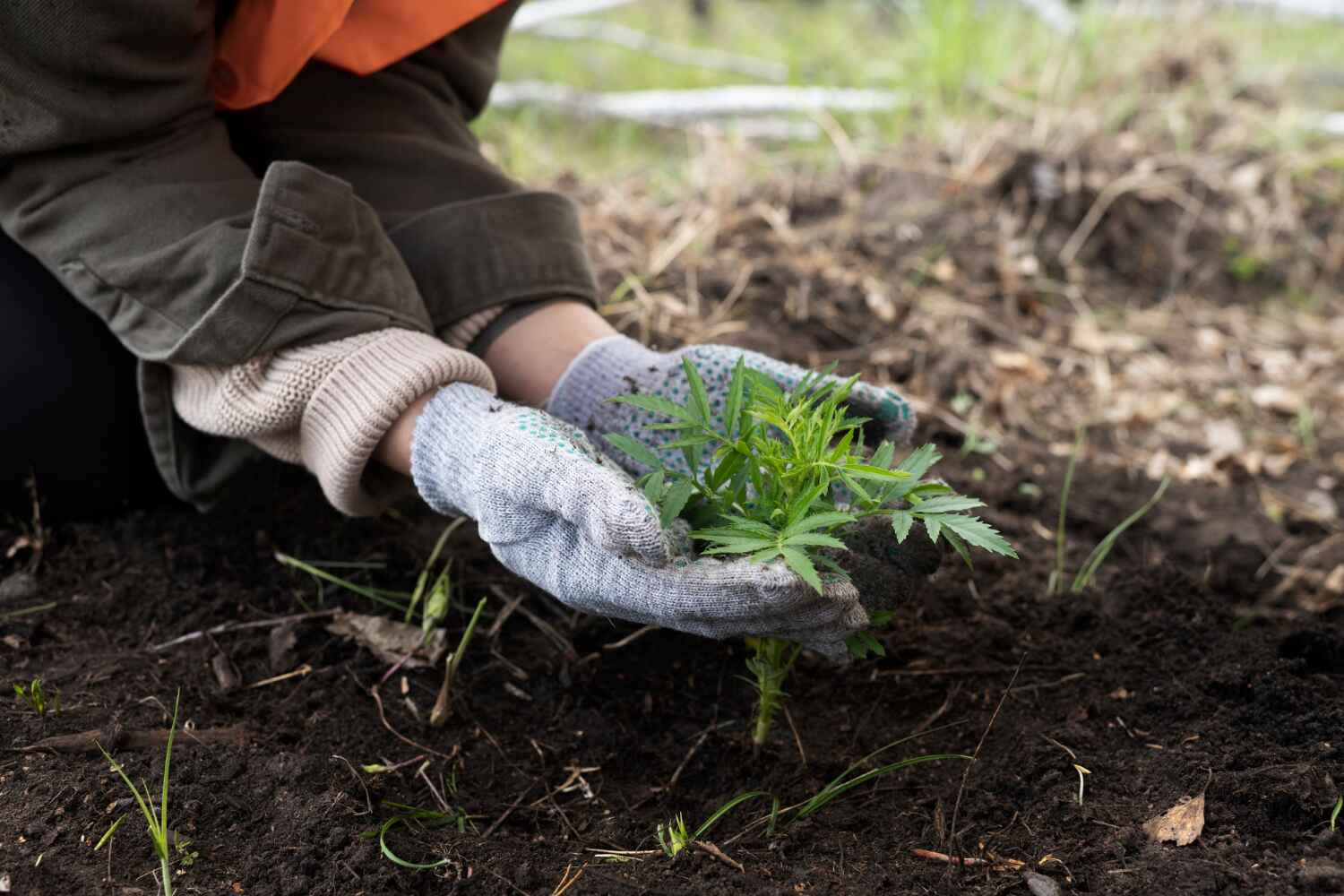 Best Stump Grinding Near Me  in Chickamau, GA